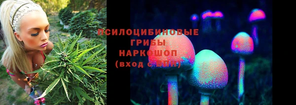 твердый Алексин