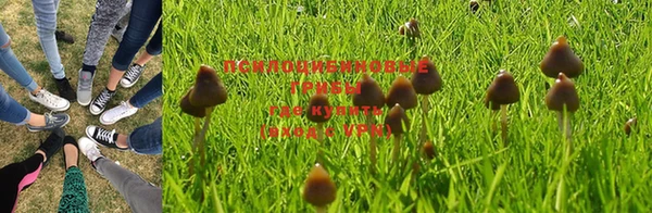 MDMA Ростов
