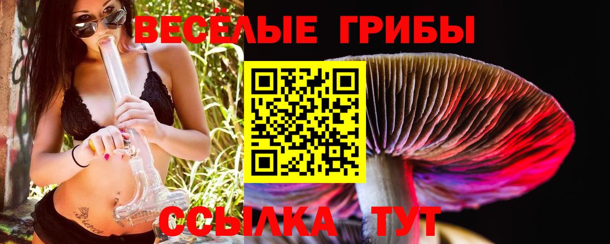 Псилоцибиновые грибы Cubensis  Вход с VPN  Нарткала 